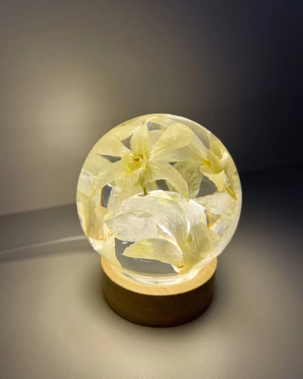 Esfera (P) - Image 3