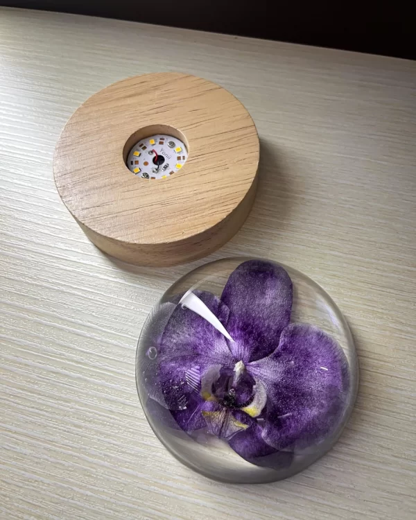 Luminária Orquídea - Image 4