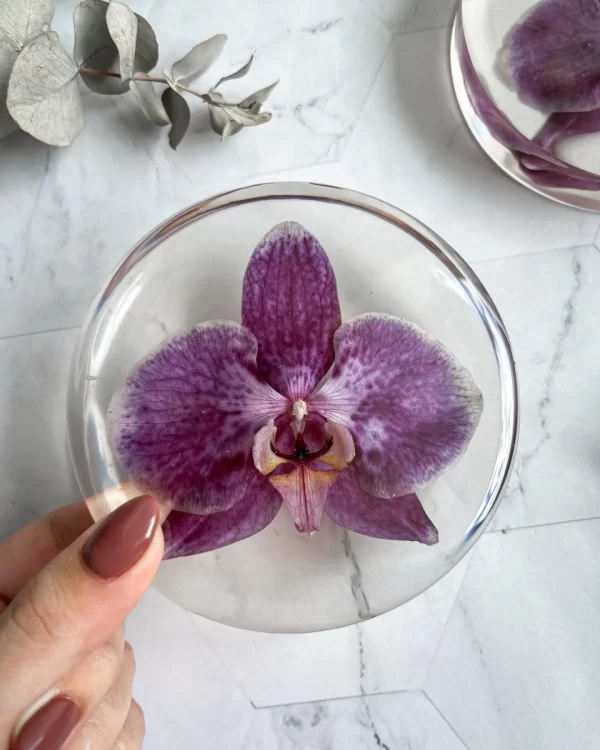 Aparador Orquídea - Image 2